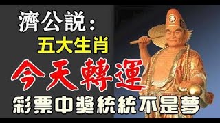 濟公說：五大生肖彩票中獎統統不是夢，就在今天生肖轉運了，努力伴隨好運，不久的將來職場中有望不斷收穫成功 | 佛門因果#佛門因果 #佛語 #運勢#佛教 #生肖