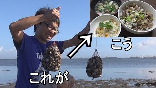 １時間半でクーラー満タン神の浜のアサリで究極定食を作る！