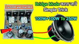 How to make [Bridge Amplifier]⚡At Home || You Like Electronic