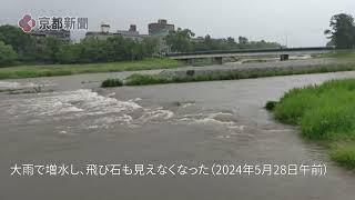 京都市左京区の「鴨川デルタ」も大雨で一変。飛び石はどこに？（2024年5月28日）