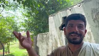 afsir Afghan pa swabi ke || da pushto cultur || pa swabi parmoli ke #trending #viralvideo