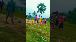 এরকম পরিবেশ কার কার ভালো লাগে 🥰🌳🌳