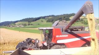 Gerste Dreschen 2k17 | 2 Laverda M 400 | Fiat \u0026 New Holland