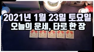 (오늘의 운세, 타로 한 장) 1월 23일_토요일