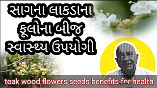 સાગના ઝાડ ના ફૂલોના બીજ સ્વાસ્થ્ય માટે કેટલા ફાયદાકારક છે જાણો દાદા ની વાતો માં #nathudada