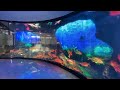 Creative LED Video Displays Collections 3