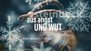 Steinbock Liebe Januar | Februar: Aus Angst und Wut❤️‍🩹