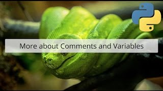 More about Python comments and variables