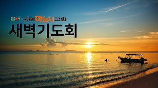 새벽기도(시편46편)