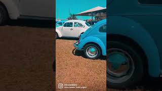 Encontrinho em Analândia 💥🥵 #aircooled #cars #fusca #shorts #shortvideo #volkswagen #girl