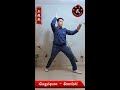 xingyiquan santishi 形意拳三体式 （西语版）