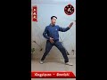 xingyiquan santishi 形意拳三体式 （西语版）