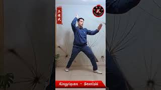 Xingyiquan Santishi 形意拳三体式 （西语版）