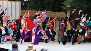 よさこい8　2022よさこい鳴子踊り特別演舞  8.10(水)  高知城会場　HEY∞WA!  よさこい踊り