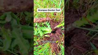 🌿 Effortless Gardening with Grampa's Weeder! 🛠️✨