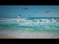 Sea Waves Sound with Seagulls