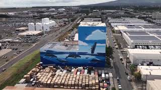 Wyland Restores Murals Near Honolulu Airport