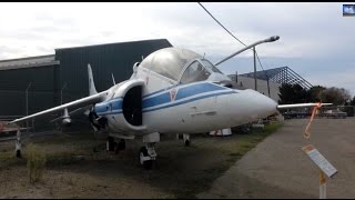 VTOL Harrier  TAV 8A -A  British design  used by US Marines. Hawker Siddeley AV-8 version