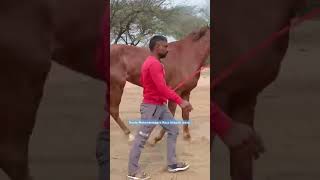 Barda mahendergarh race ground scene