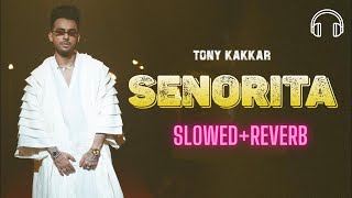 Senorita (slowed+reverbed) 😍😍| Tony Kakkar, Young Desi | #slowedsongs | New Hindi Song 2023 🔥🔥