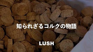 知られざるリジェネラティブなコルクの物語｜LUSH ラッシュ