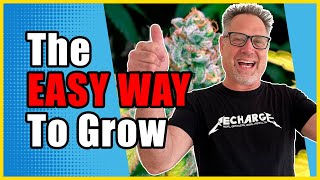 First Time Cannabis Growers Are CRUSHING IT with THESE Three Tips