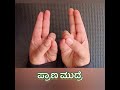 home remedy to increase memory power grasping power and concentration in kannada