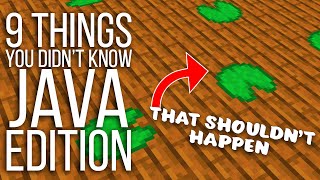 9 Mind Blowing Things You Didn't Know in Java Edition Minecraft