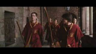 Wavin' Flag - Quidditch