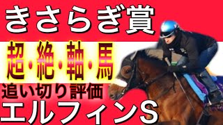 きさらぎ賞2021 エルフィンステークス2021 クラシック路線に乗る馬はこれだ！！　追い切り評価　過去の傾向と超絶追い切り馬　【競馬予想】