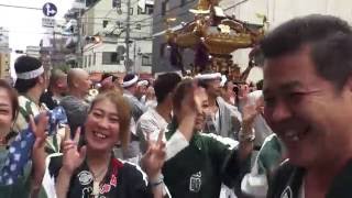 平成28年 亀戸天神社 大祭  四年に一度 本社神輿立派な渡御。