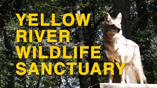 Yellow River Wildlife Sanctuary Tour | Lilburn Georgia