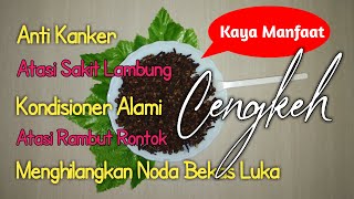 17 Manfaat Cengkeh yang Luar Biasa