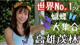 【高雄】高雄茂林一日遊～昼の蝶小百合が行く世界二大の蝶が集まるスポット高雄茂林【台湾旅行】日本語字幕あり