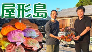 人口14人の離島「屋形島」で養殖されるヒオウギ貝が綺麗＆美味すぎた。