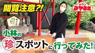 【閲覧注意⁉︎】小林の珍スポットに行ってみた！🏃💨 【宮崎県小林市編】