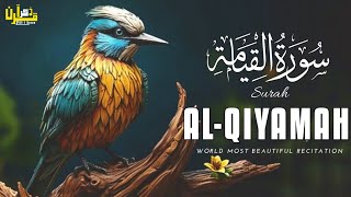 World most beautiful recitation of Surah Qiyamah | Beautiful tilawat |Sleeping Quran |Zikr E Quran