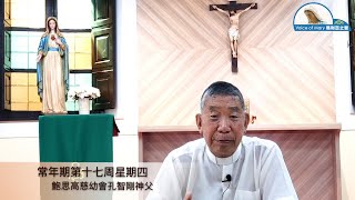 每日聖言分享【常年期第十七周星期四（瑪　13:47-53）】鮑思高慈幼會孔智剛神父