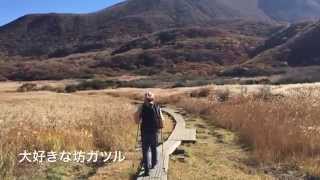 くじゅう連山　山くだりの旅 　 牧の戸峠,久住分れ,法華院温泉テント泊,長者原