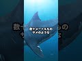 絶対に知らない方が幸せになれる雑学3選 ホラー 都市伝説 人類滅亡