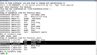 Buffer Overflow Primer Part 2 Writing Exit Shellcode