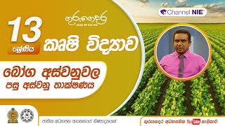 බෝග අස්වනුවල පසු අස්වනු තාක්ෂණය - P 14-A/L Agriculture (කෘෂි විද්‍යාව) 13 ශ්‍රේණිය