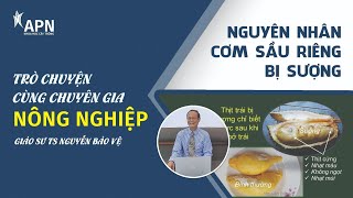 APN - NGUYÊN NHÂN CƠM SẦU RIÊNG BỊ SƯỢNG | TRÒ CHUYỆN CÙNG CHUYÊN GIA NÔNG NGHIỆP