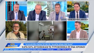 Κατά 50% αυξήθηκαν τα τυροκομικά σε ένα χρόνο - Τι λέει κτηνοτρόφος - τυροκόμος | OPEN TV