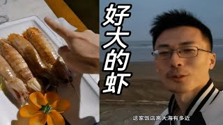 这是我吃过最大的皮皮虾 | 在海边吃海鲜