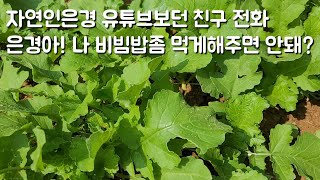 친구가 비빔밥이 너무 먹어보고 싶대요 먹어야죠~~