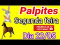 PALPITES DO **JB DIA 22 DE MAIO @Canal Tadeu martins