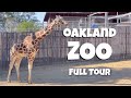Oakland Zoo animals - Full Walking Tour [4K]