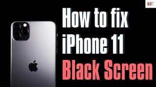 Fix iPhone 11 Black Screen Problems | Black Screen But Still On, Black Screen of Death, etc.