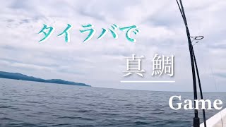 【釣りブログ#3・タイラバで真鯛ゲーム】山形県庄内沖2023.6某日(動画内の釣果記載に誤りあり🙏)実はもっと釣っていた！#タイラバ